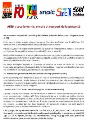 APPEL INTERSYNDICAL AESH : SOUS LE VERNIS, ENCORE ET TOUJOURS DE LA PRÉCARITÉ - SNCL