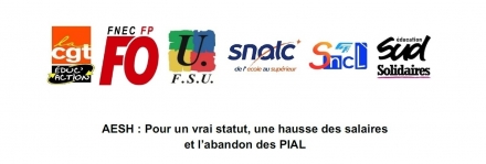 AESH : lancement d'une pétition nationale - SNCL